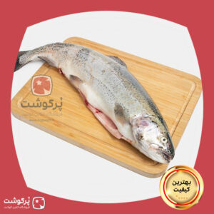 قزل آلای سالمون شکم خالی یک کیلویی